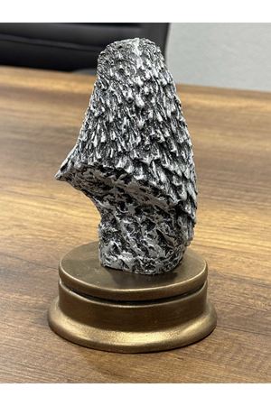 Kartal 17cm Ortalama 1 Kilo ağırlığında