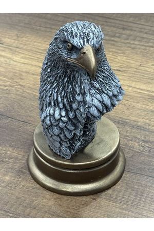 Kartal 17cm Ortalama 1 Kilo ağırlığında